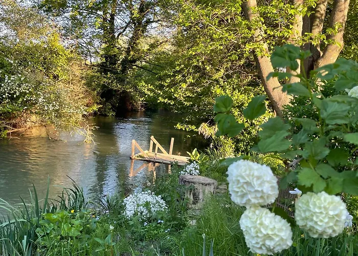 La Petite Rive - Les Oliviers